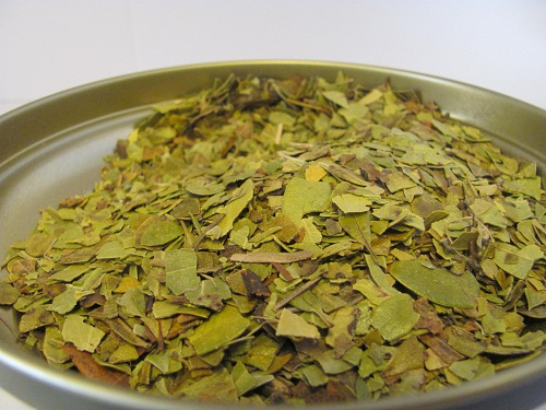 Uva ursina
